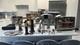Vintage Kenner Palitoy Star Wars Millenium Falcon Ewok Village At At 1979