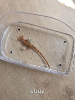 Vintage Star Wars Amanaman staff original accessory for last 17 figure 427