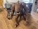 Star Wars Vintage Kenner Rancor Beast Kenner 1984 Boîte